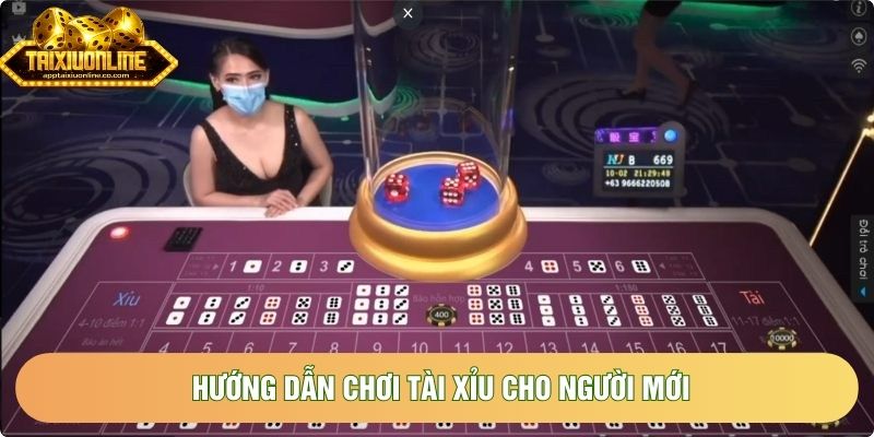 Hướng dẫn chơi tài xỉu cho người mới một cách dễ hiểu nhất
