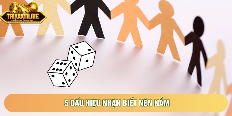 5 dấu hiệu nhận biết nên nắm