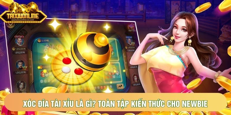 Xóc đĩa tài xỉu là gì? Toàn tập kiến thức cho newbie